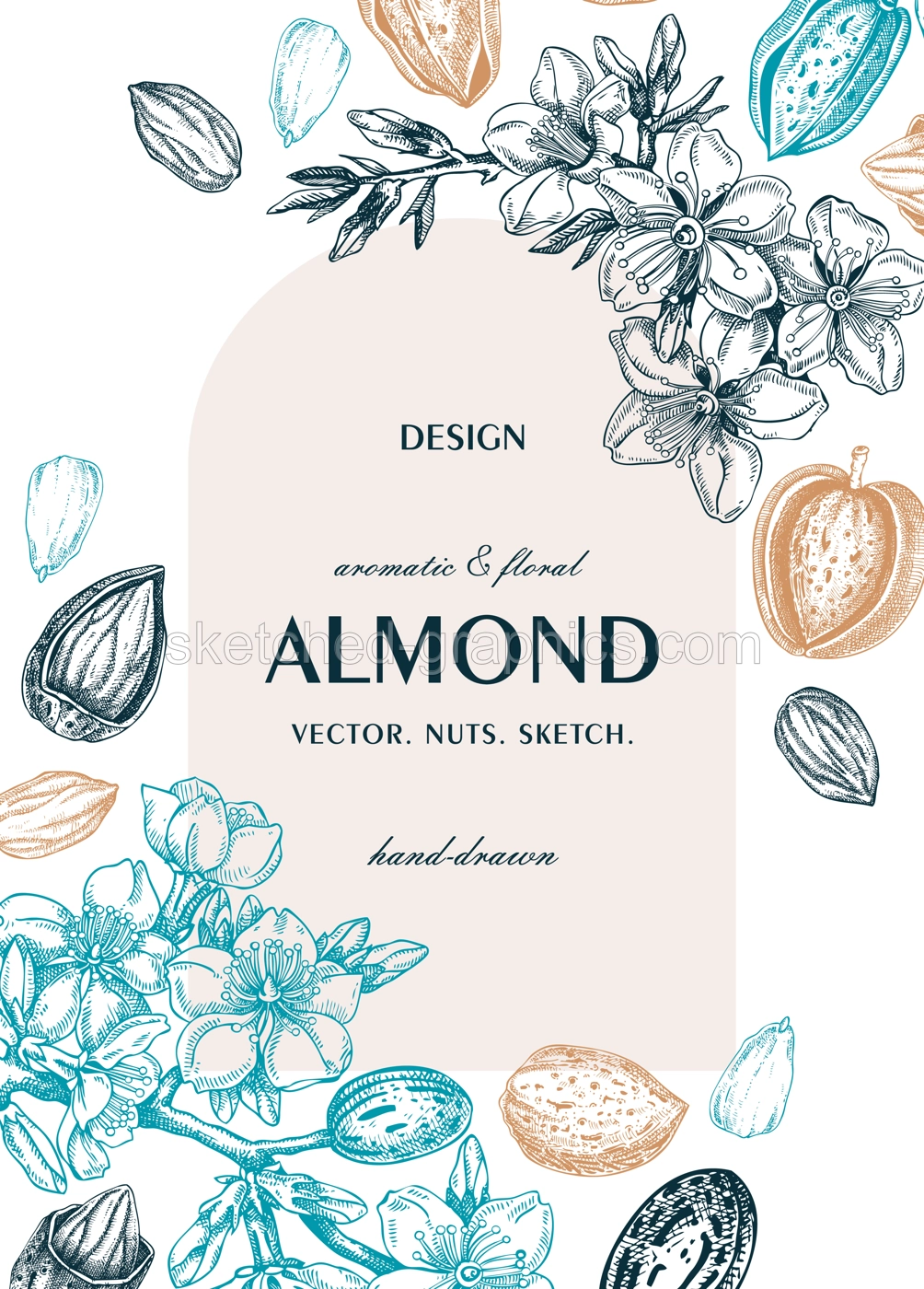Almond nut frame, spring design. Blooming branches, nuts, flower sketches. Hand-drawn vector illustration. Greeting card or invitation template .  NOT AI generated Illustration
